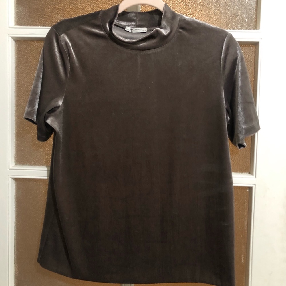 Zara turtle neck velvet top